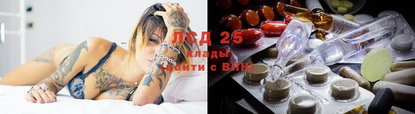 круглые Гусев
