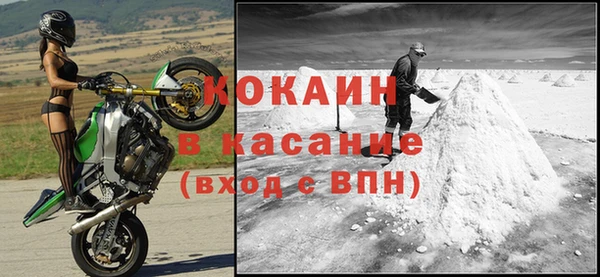 круглые Гусев