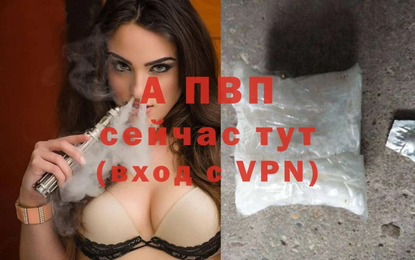 круглые Гусев