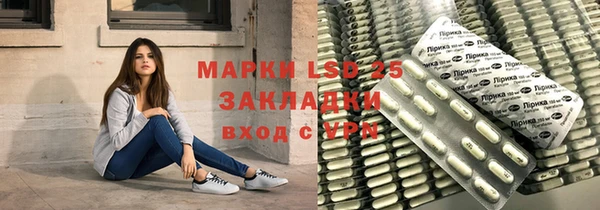 ГАЛЛЮЦИНОГЕННЫЕ ГРИБЫ Гусиноозёрск