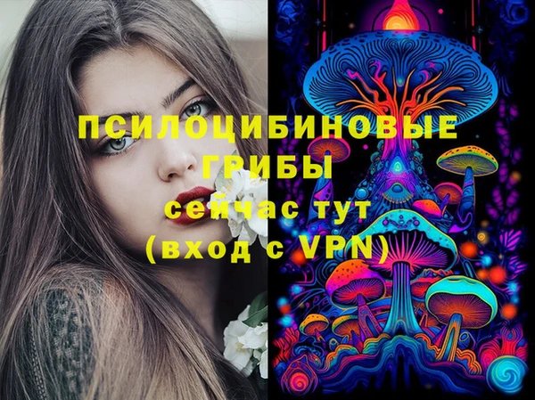 МДПВ Арсеньев