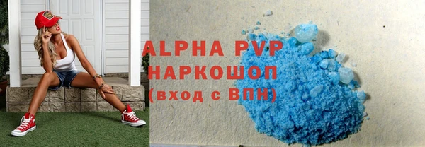 круглые Гусев