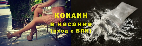 шишки Аркадак