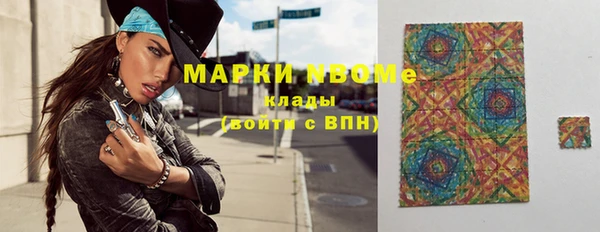шишки Аркадак