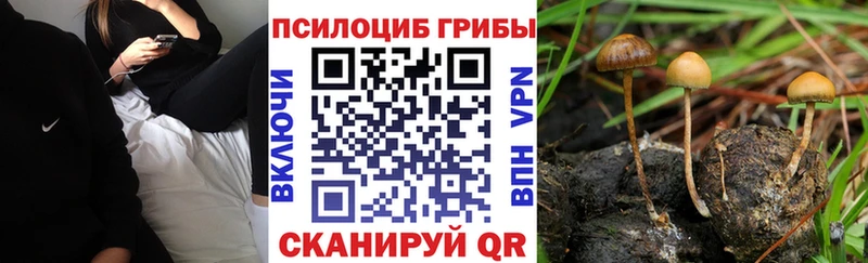 Галлюциногенные грибы прущие грибы  где купить наркоту  ссылка на мегу ССЫЛКА  Старый Крым 